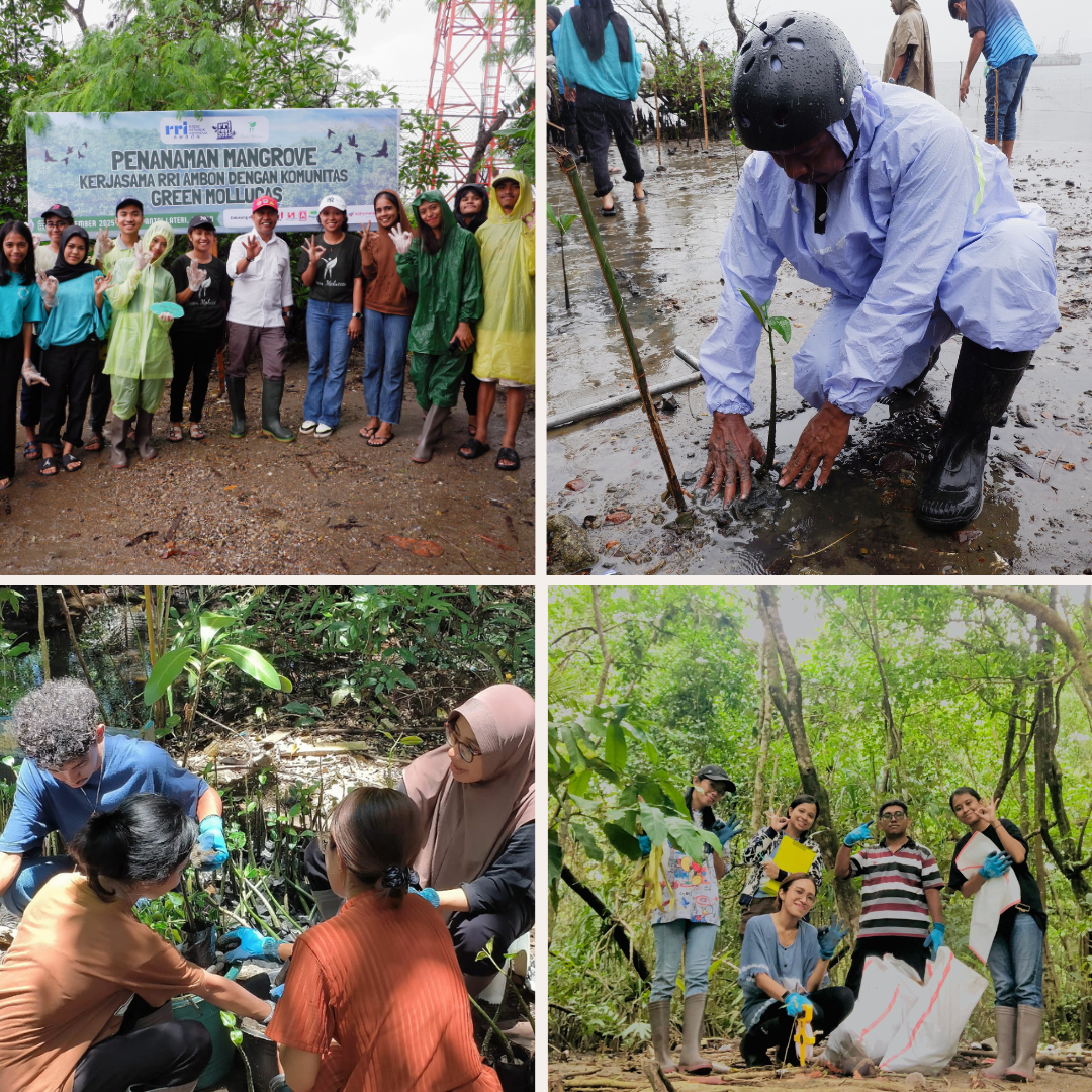 pink elegan moderen koleksi foto kolase posting instagram post. (1)
